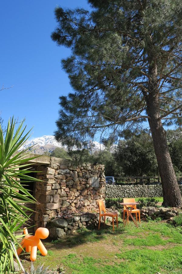 Casa Di U Cuginu